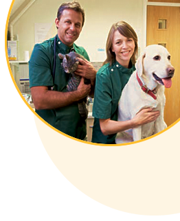 Vet Practice Directory